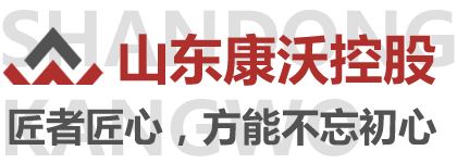 菏柴動力系統（山東）有限公司